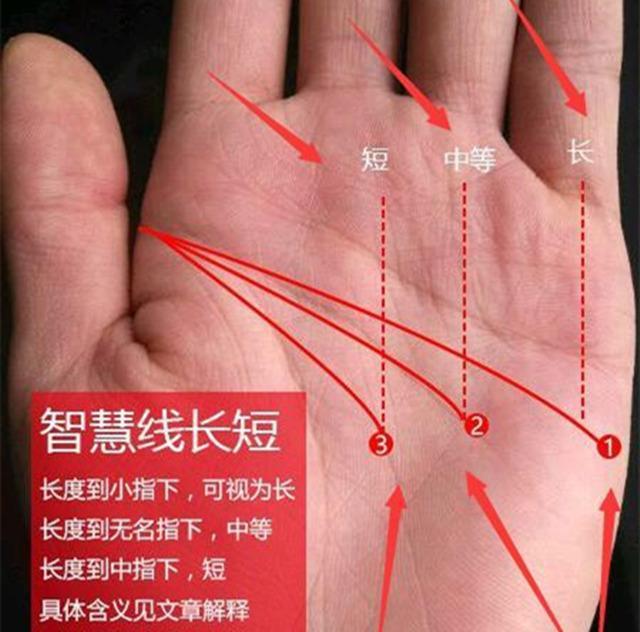 如何从手相上的智慧线(人纹)看一生的事业和财运?