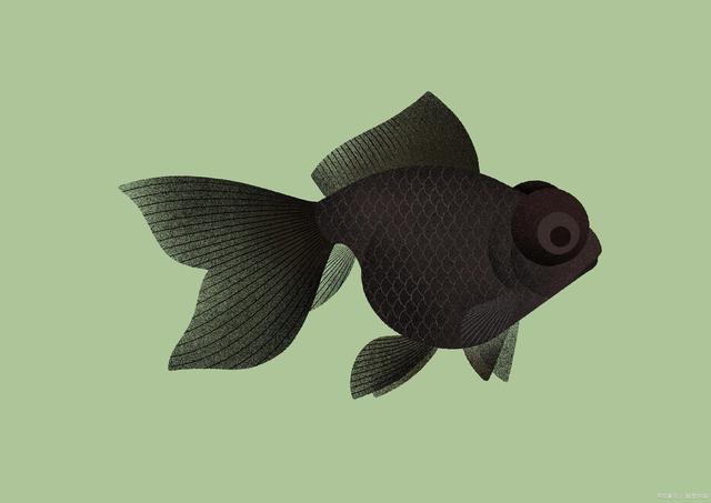 夏季到來 小型魚 原生魚可以和金魚 錦鯉等 飼養在一起嗎 小編的世界